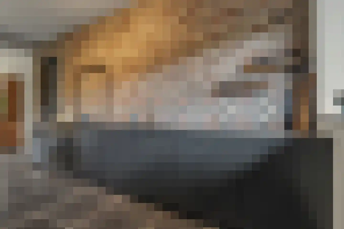 Dennenlaan 4 Valkenswaard thumbnail 23
