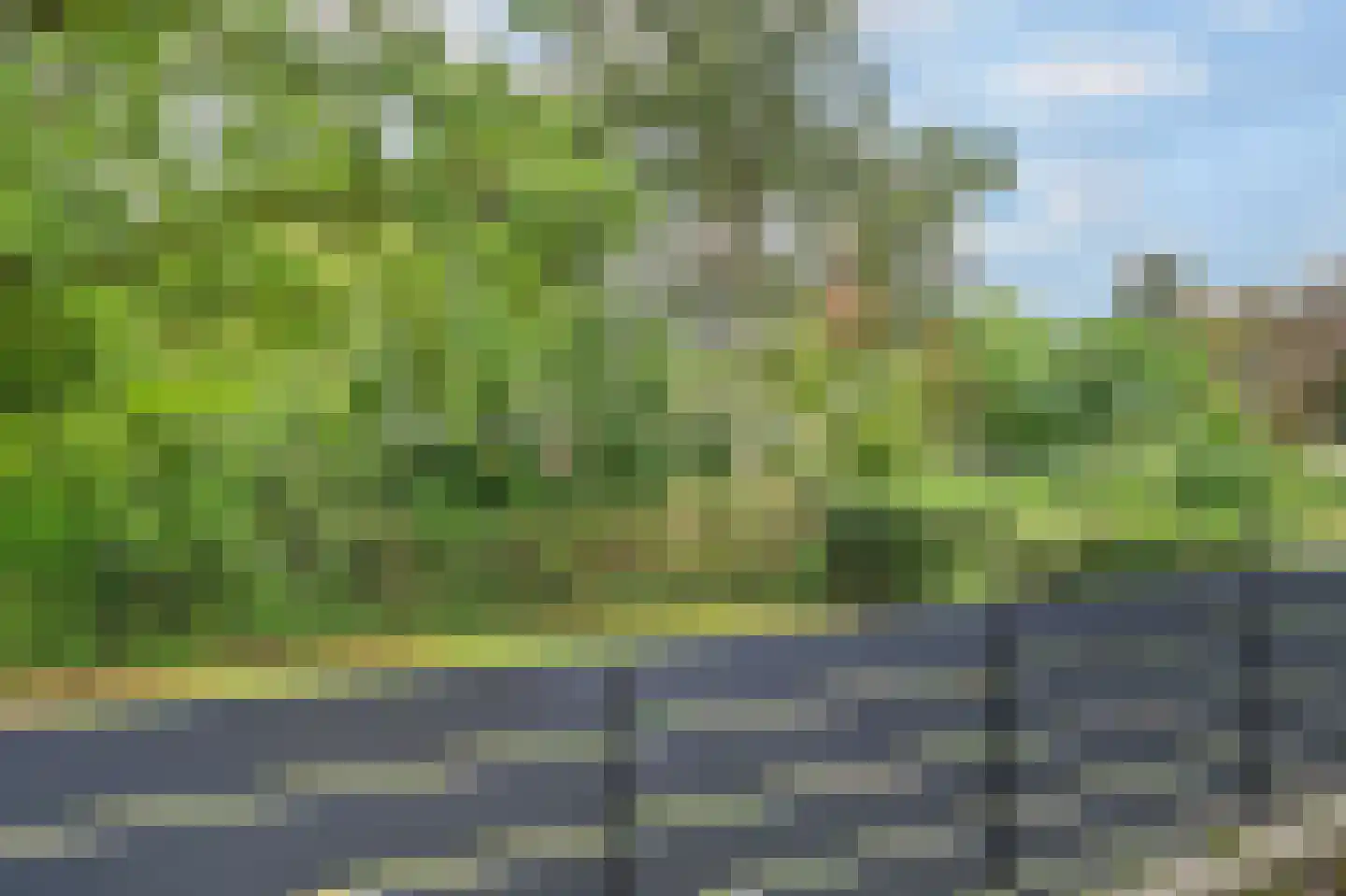 Dennenlaan 4 Valkenswaard thumbnail 34