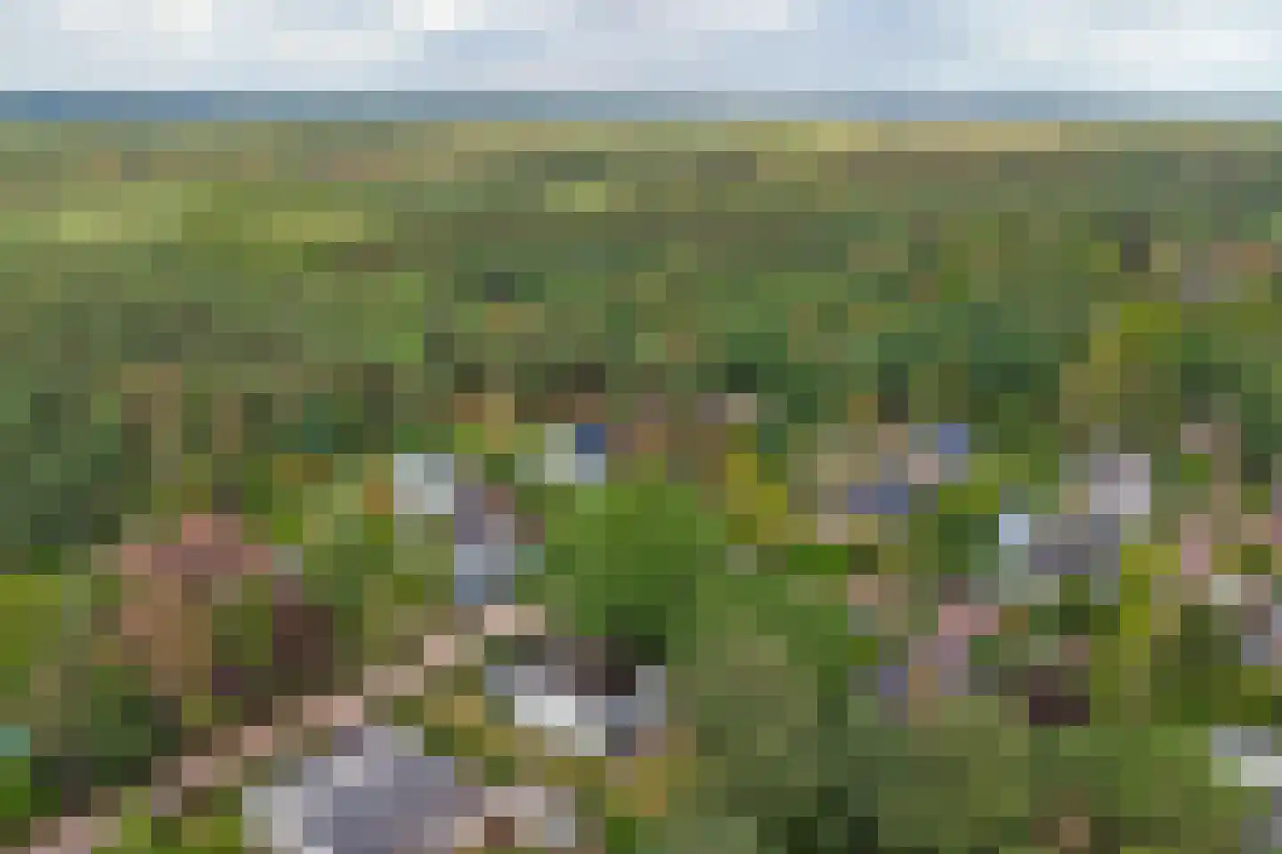 Dennenlaan 4 Valkenswaard thumbnail 4