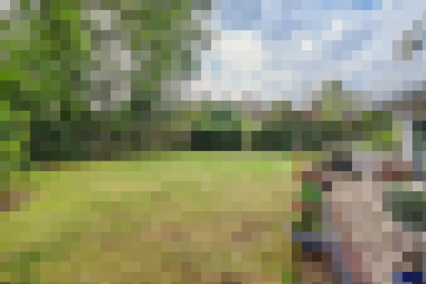 Dennenlaan 4 Valkenswaard thumbnail 50