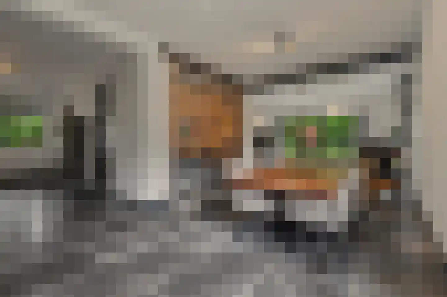 Dennenlaan 4 Valkenswaard thumbnail 6