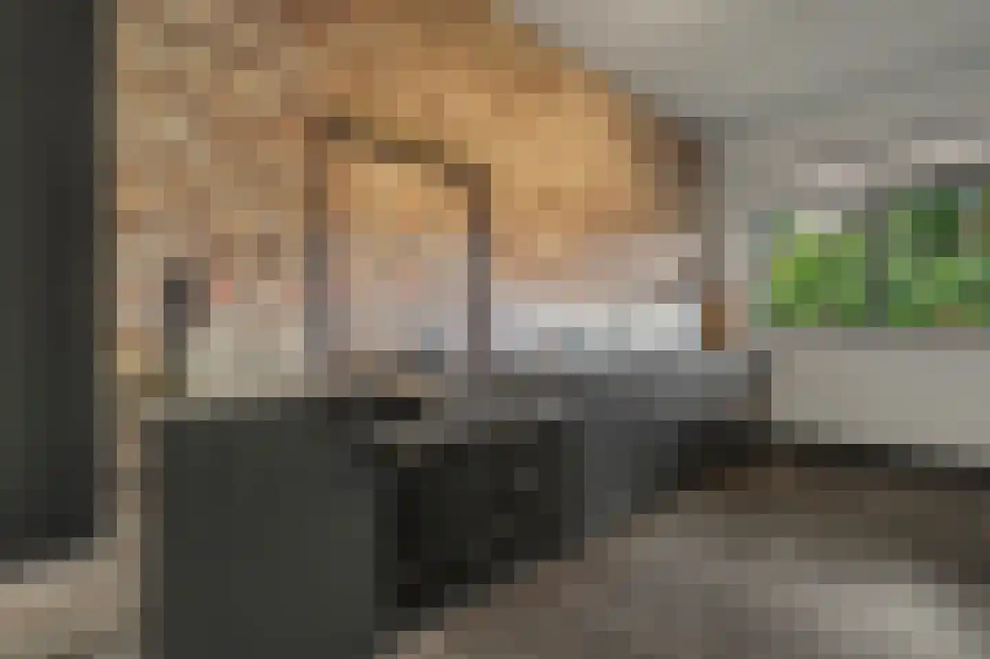 Dennenlaan 4 Valkenswaard thumbnail 7