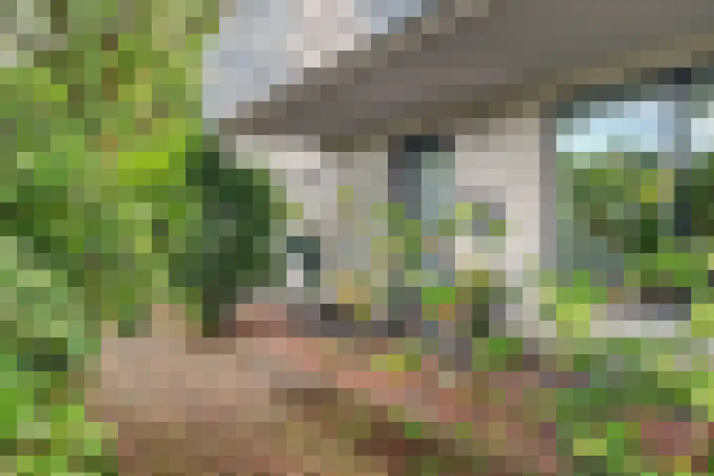 Dennenlaan 4 Valkenswaard thumbnail 9