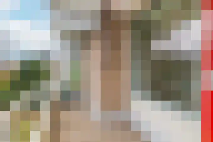 Dennenlaan 408 Ede thumbnail 19