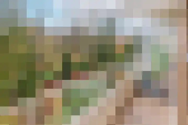 Dennenlaan 408 Ede thumbnail 20
