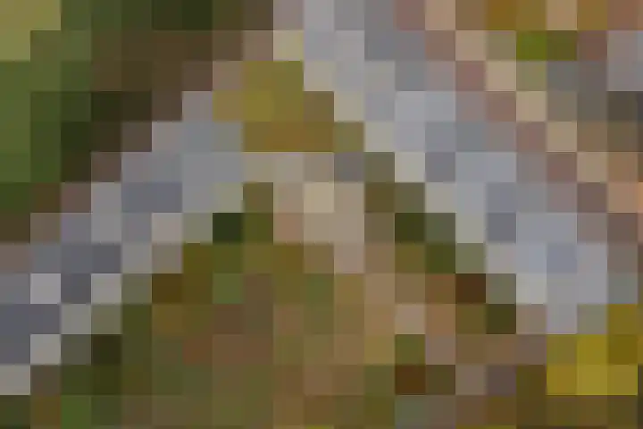 Dennenlaan 408 Ede thumbnail 29