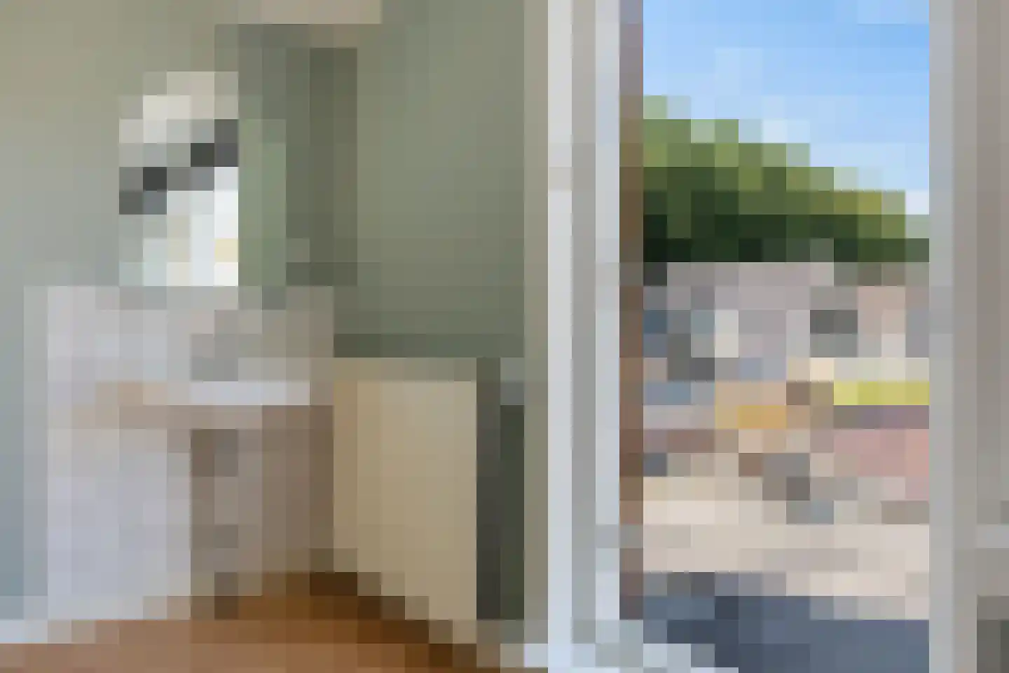 Dennenlaan 41 Emmen thumbnail 31