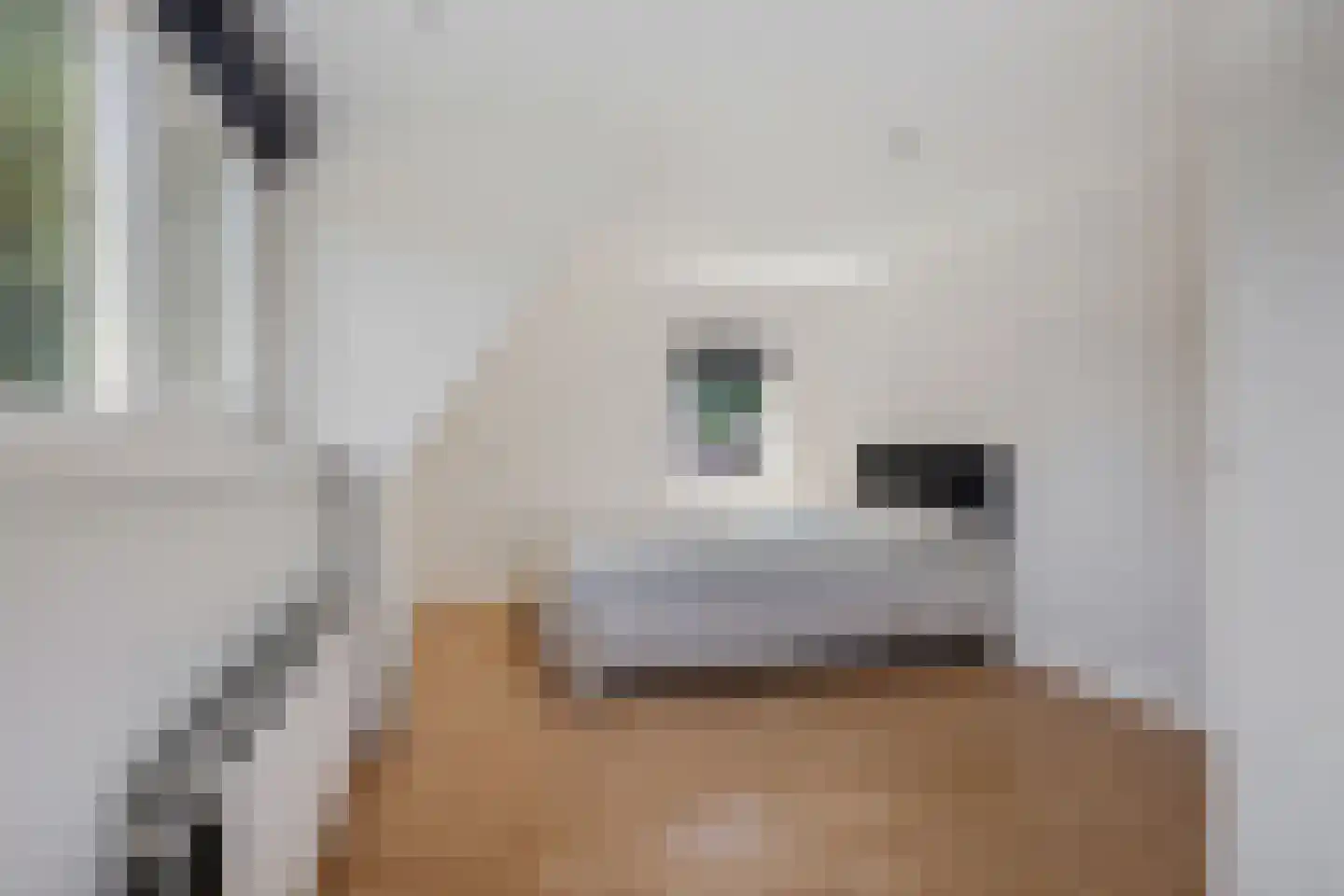 Dennenlaan 41 Emmen thumbnail 36