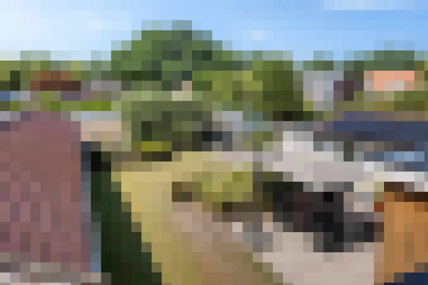 Dennenlaan 41 Emmen thumbnail 44
