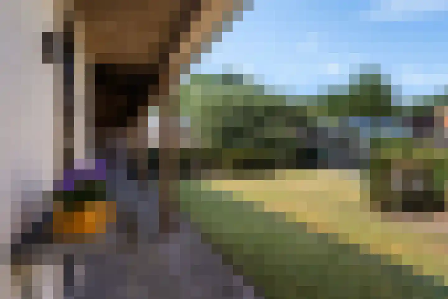 Dennenlaan 41 Emmen thumbnail 52