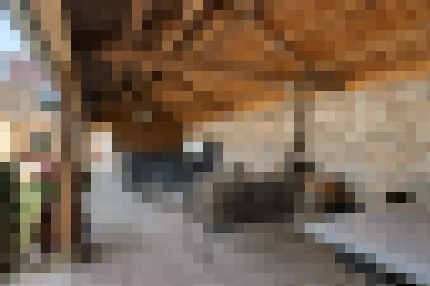 Dennenlaan 41 Emmen thumbnail 58