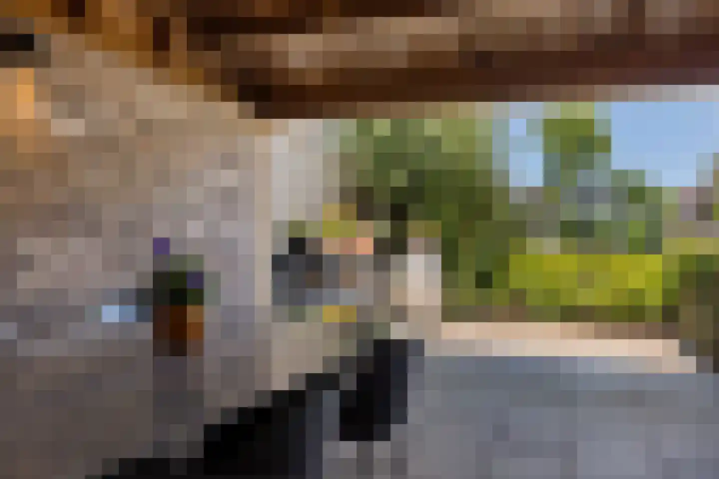 Dennenlaan 41 Emmen thumbnail 60