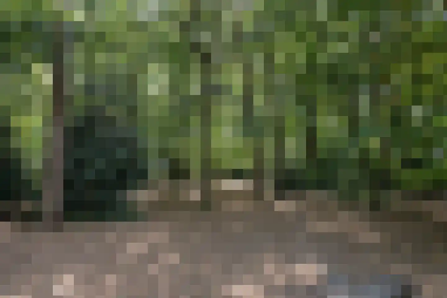 Dennenlaan 41 Emmen thumbnail 70