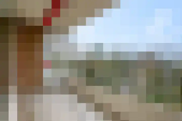 Dennenlaan 416 Ede thumbnail 23