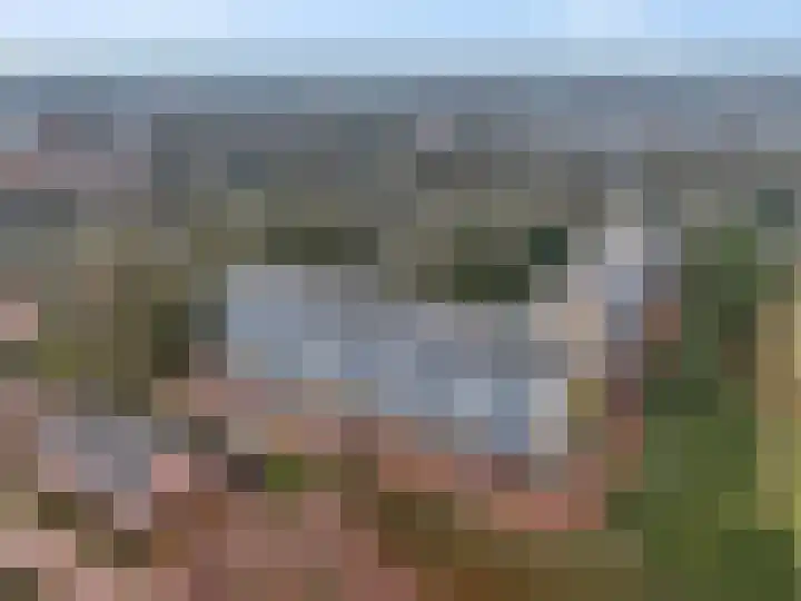 Dennenlaan 416 Ede thumbnail 30