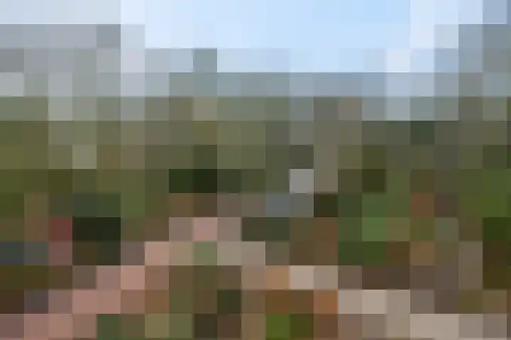 Dennenlaan 416 Ede thumbnail 32