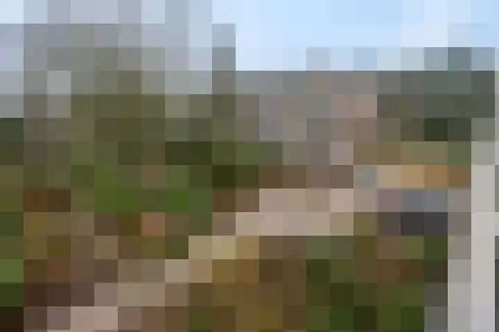 Dennenlaan 416 Ede thumbnail 33