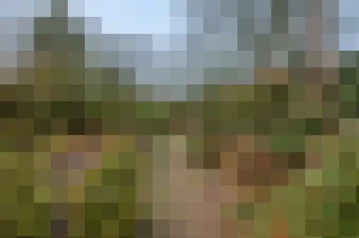 Dennenlaan 416 Ede thumbnail 34
