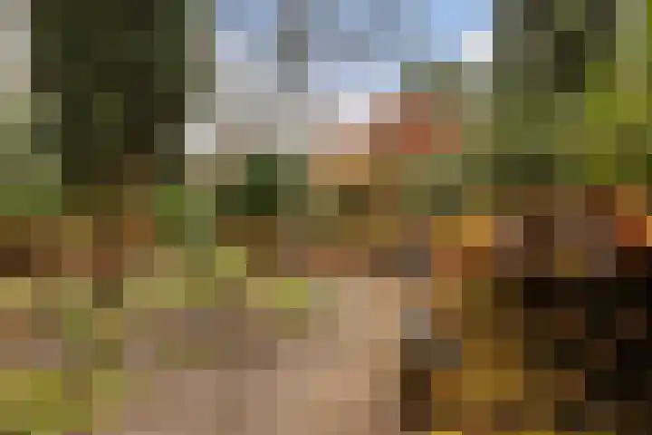 Dennenlaan 418 Ede thumbnail 35