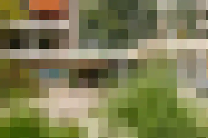 Dennenlaan 418 Ede thumbnail 40