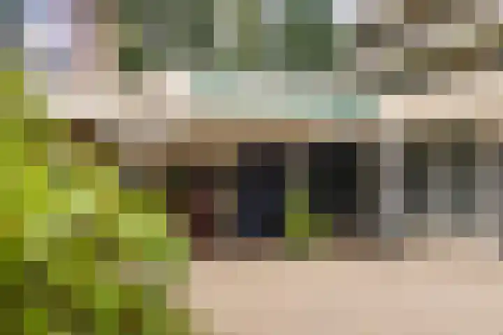 Dennenlaan 418 Ede thumbnail 41