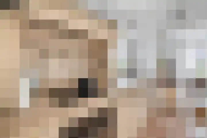 Dennenlaan 44 Havelte thumbnail 13