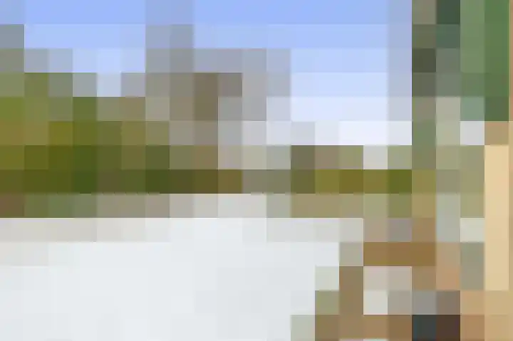 Dennenlaan 44 Havelte thumbnail 42