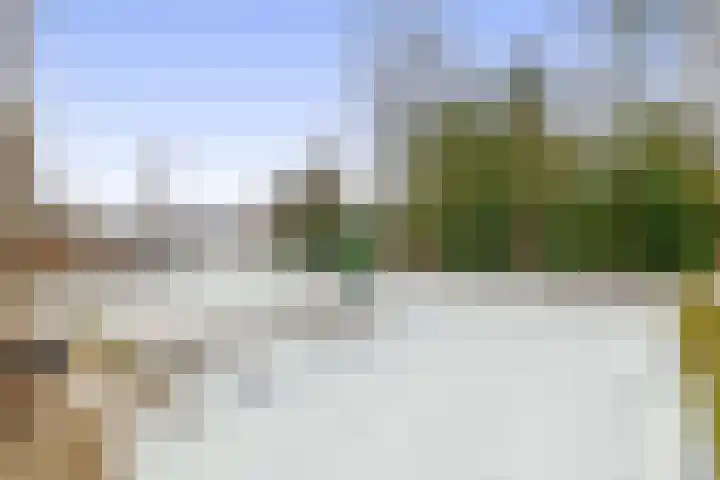 Dennenlaan 44 Havelte thumbnail 44