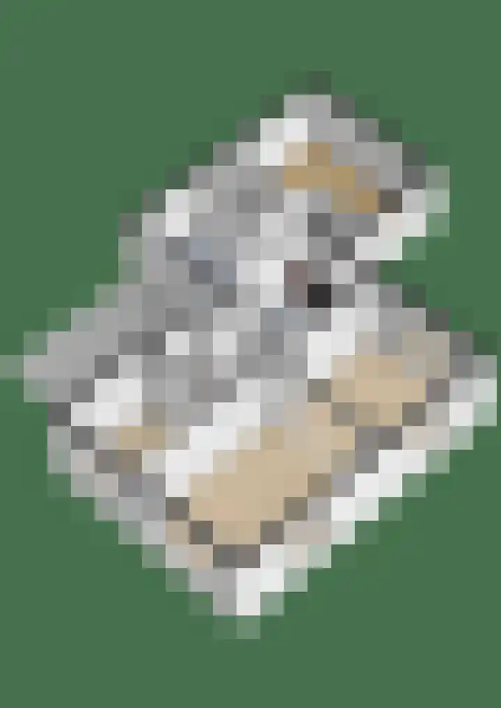 Dennenlaan 44 Havelte thumbnail 47