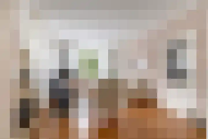 Dennenlaan 44 Havelte thumbnail 8