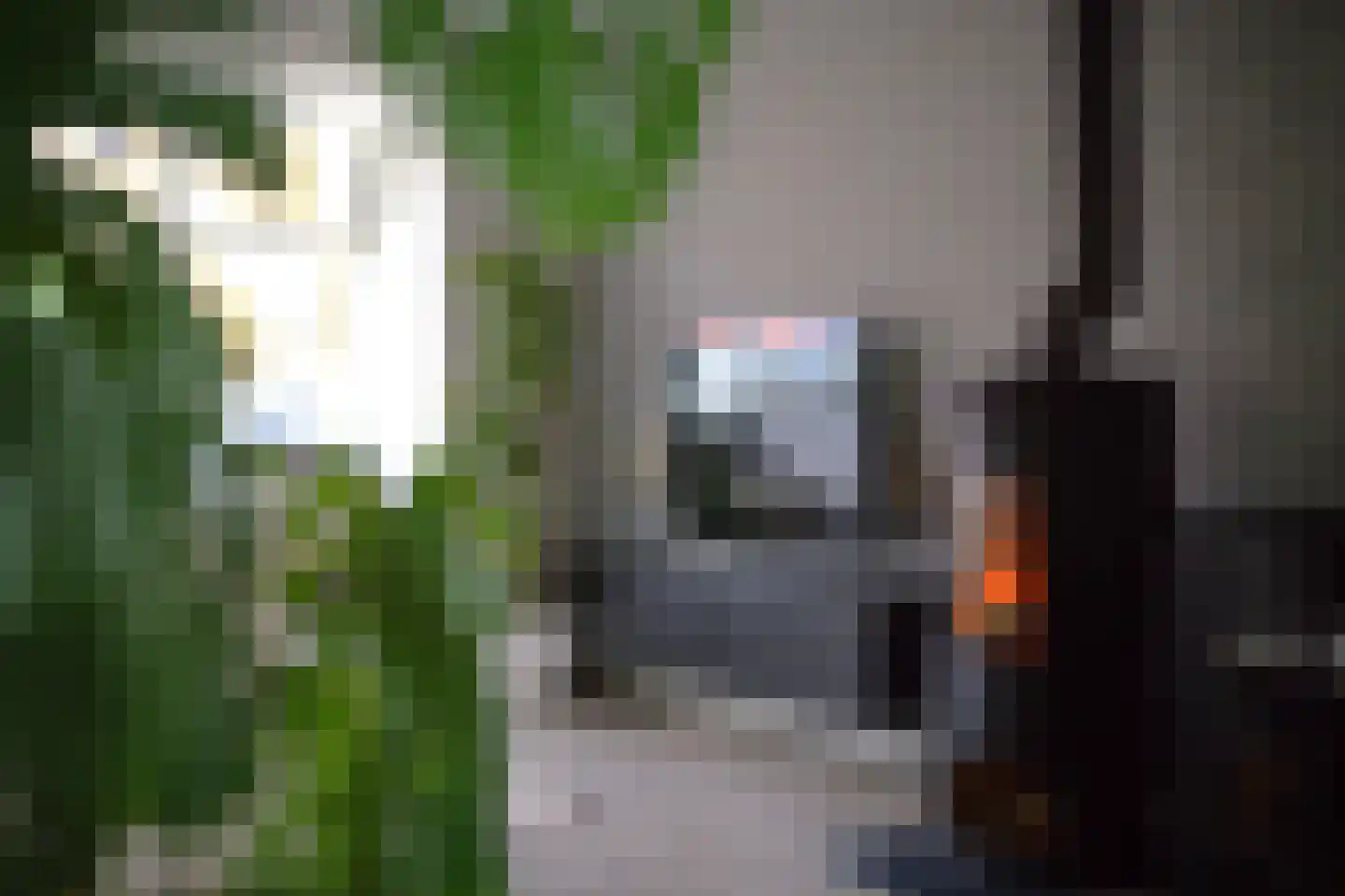 Dennenlaan 49 Harderwijk thumbnail 15