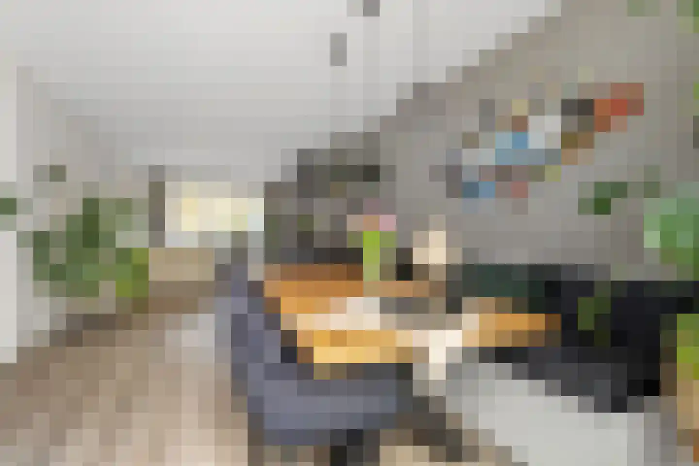 Dennenlaan 49 Harderwijk thumbnail 18
