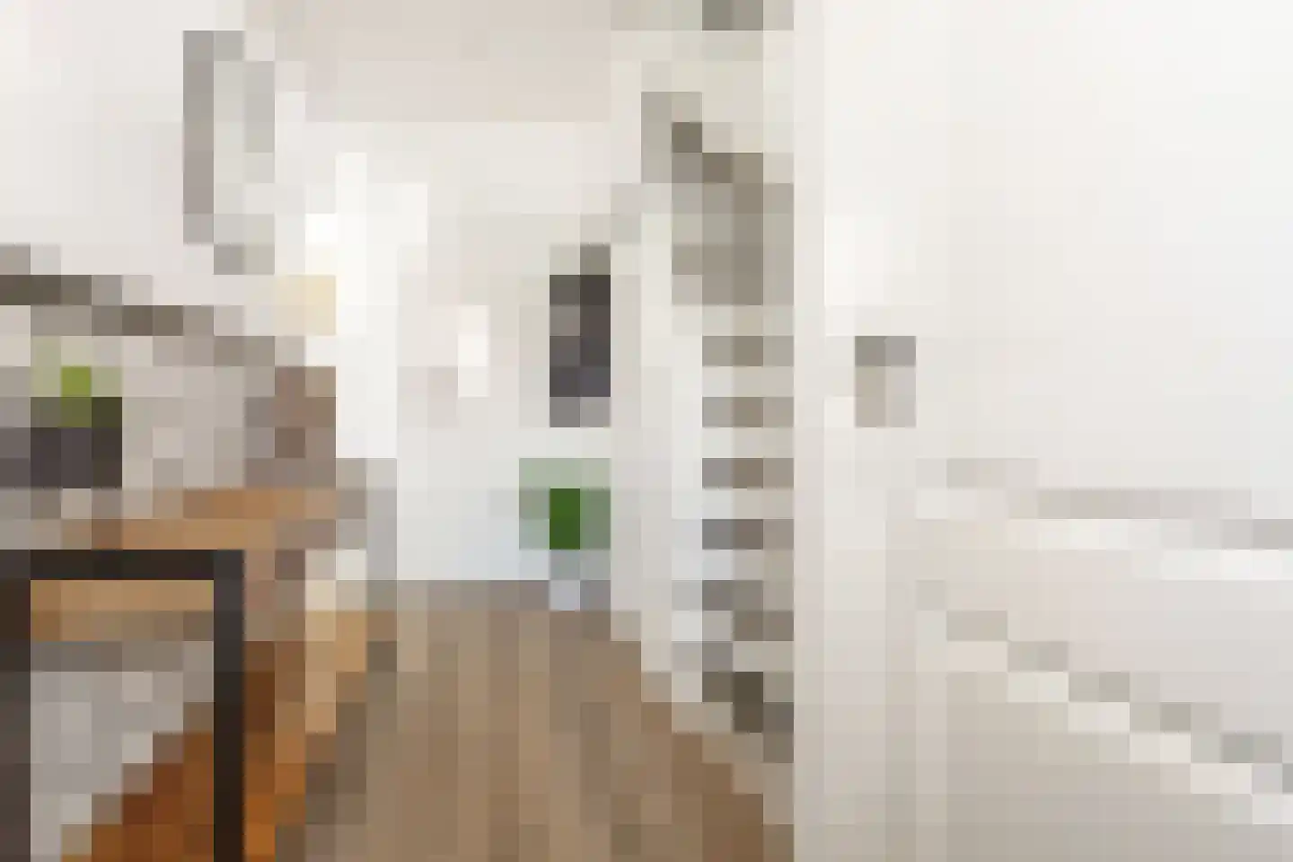 Dennenlaan 49 Harderwijk thumbnail 8