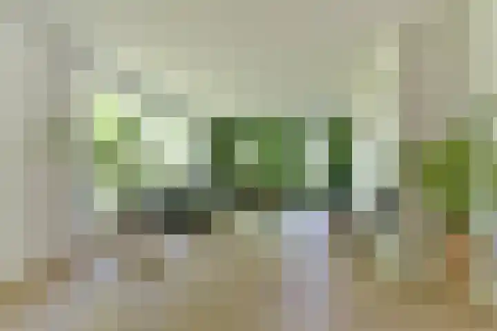 Dennenlaan 5 A Hollandsche Rading thumbnail 10