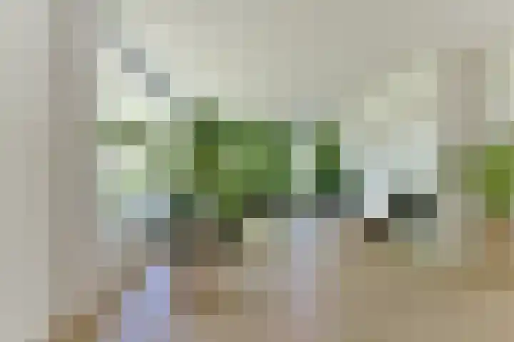 Dennenlaan 5 A Hollandsche Rading thumbnail 11