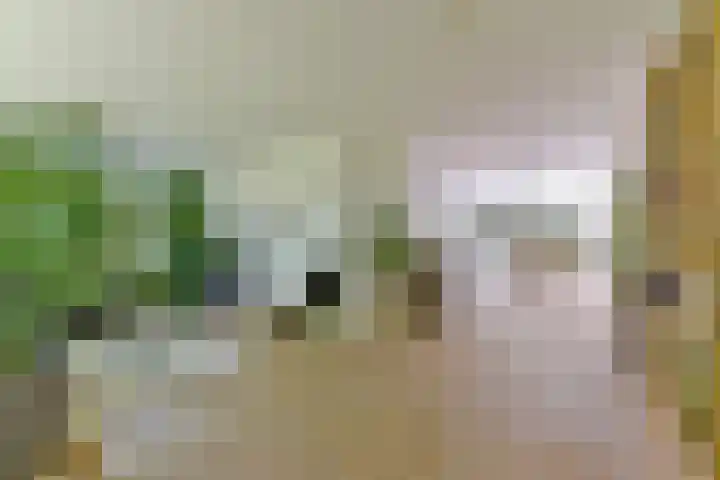 Dennenlaan 5 A Hollandsche Rading thumbnail 14