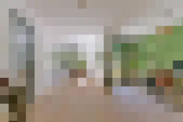Dennenlaan 5 A Hollandsche Rading thumbnail 15