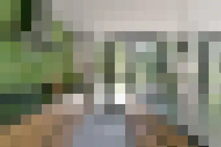 Dennenlaan 5 A Hollandsche Rading thumbnail 18