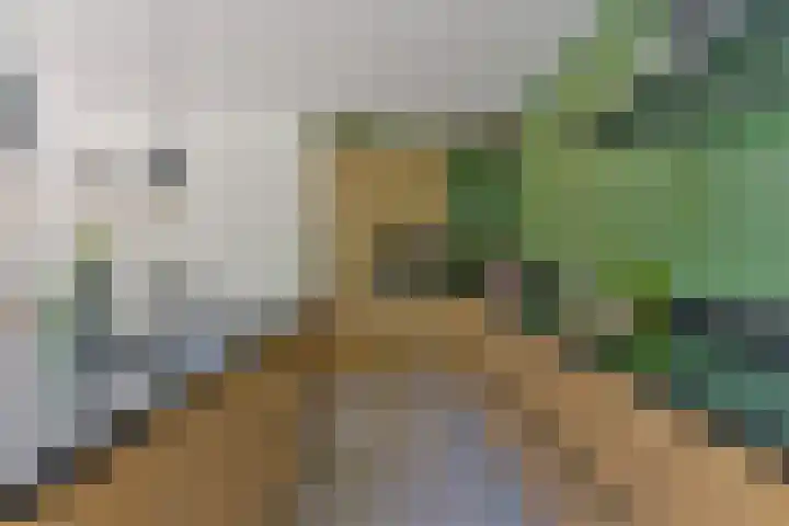 Dennenlaan 5 A Hollandsche Rading thumbnail 19