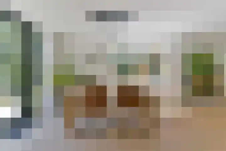 Dennenlaan 5 A Hollandsche Rading thumbnail 21