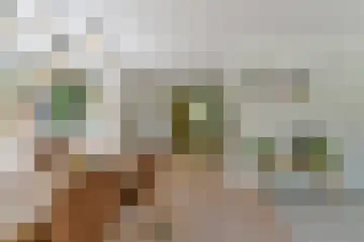 Dennenlaan 5 A Hollandsche Rading thumbnail 22