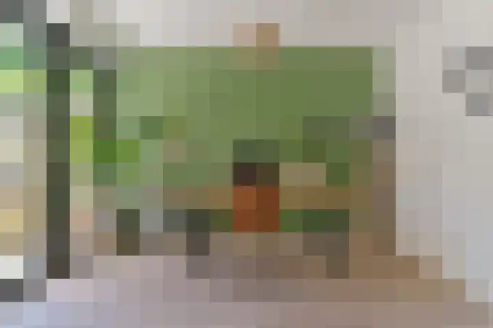 Dennenlaan 5 A Hollandsche Rading thumbnail 23