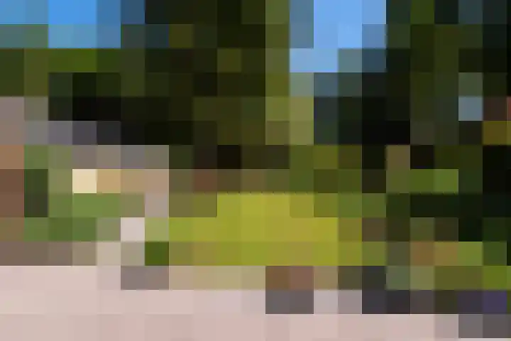Dennenlaan 5 A Hollandsche Rading thumbnail 26