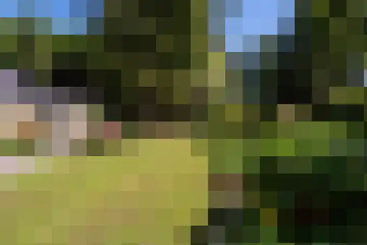 Dennenlaan 5 A Hollandsche Rading thumbnail 27