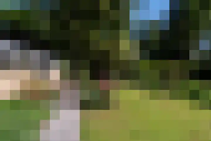 Dennenlaan 5 A Hollandsche Rading thumbnail 28