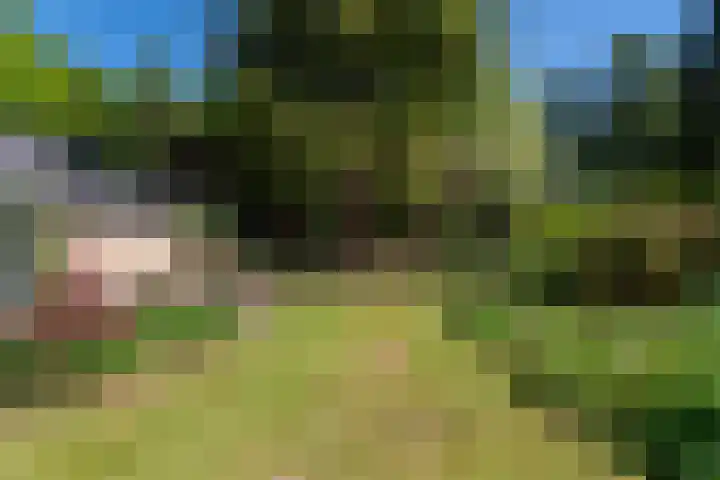 Dennenlaan 5 A Hollandsche Rading thumbnail 29