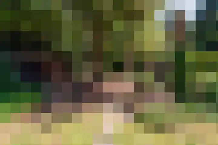 Dennenlaan 5 A Hollandsche Rading thumbnail 31