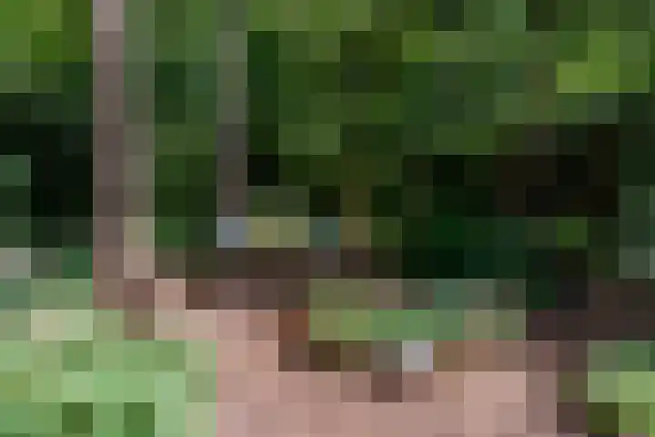 Dennenlaan 5 A Hollandsche Rading thumbnail 32