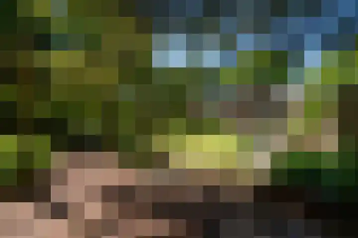 Dennenlaan 5 A Hollandsche Rading thumbnail 33