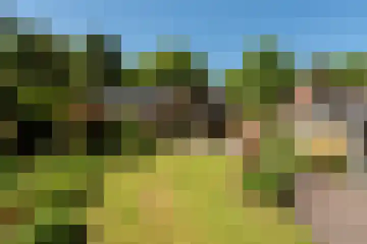 Dennenlaan 5 A Hollandsche Rading thumbnail 34